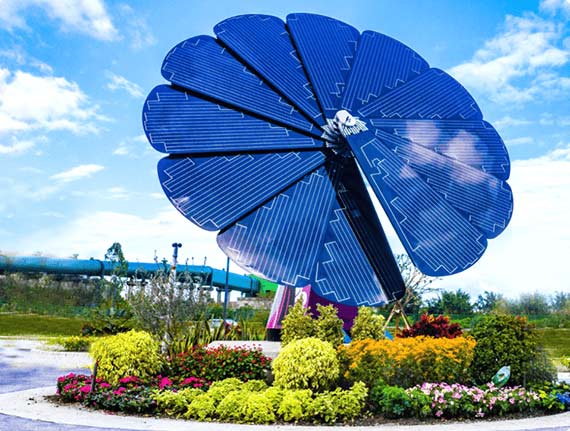 solar flower single sq